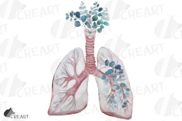 Pink Blush Anatomical Lung Eucalyptus